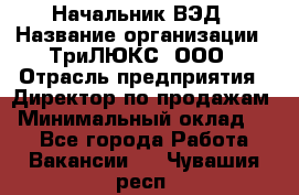 Начальник ВЭД › Название организации ­ ТриЛЮКС, ООО › Отрасль предприятия ­ Директор по продажам › Минимальный оклад ­ 1 - Все города Работа » Вакансии   . Чувашия респ.